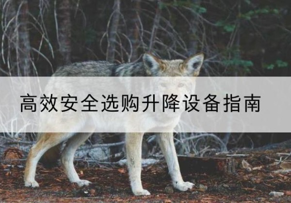 海陵升降货梯厂家推荐-*安全选购升降设备指南