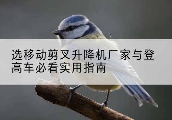海陵电动升降机厂家-选移动剪叉升降机厂家与登高车必看实用指南