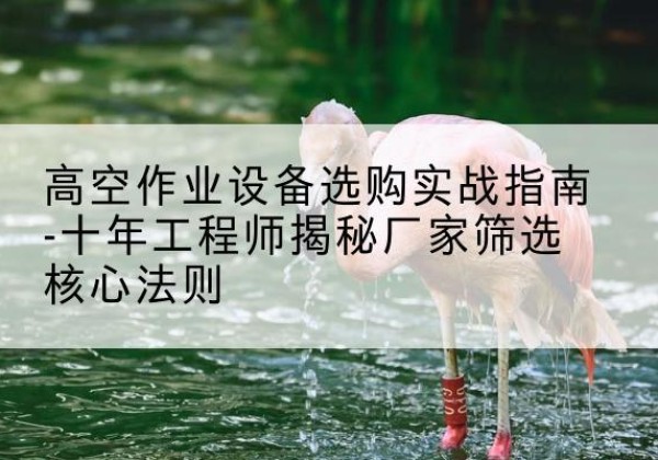 海陵剪叉式升降机厂家-高空作业设备选购实战指南-十年工程师揭秘厂家筛选核心法则